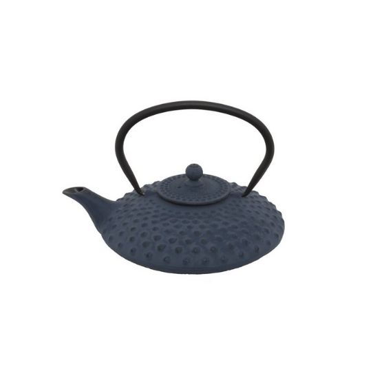 Xilin blauw 0,8L incl filter