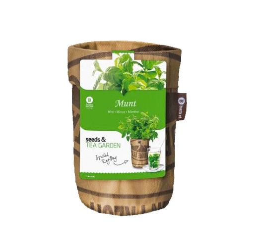 [24607] Tea Garden, BIO Munt